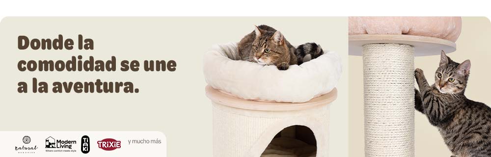 Todo para trepar, rascar y relajarse. Hasta un 25 % de descuento 🐈