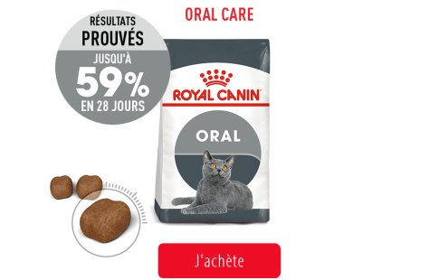 Royal Canin Feline Care Subpage - Grid Oral Care Image