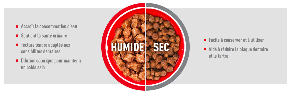 Royal Canin Feline Care Subpage - Middle Banner Humide Image