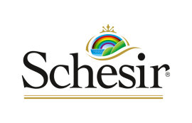 Schesir
