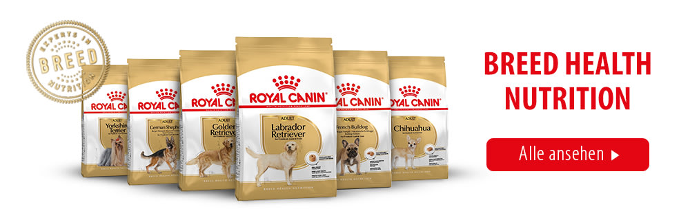 Royal Canin Breed: Graphic Module 7