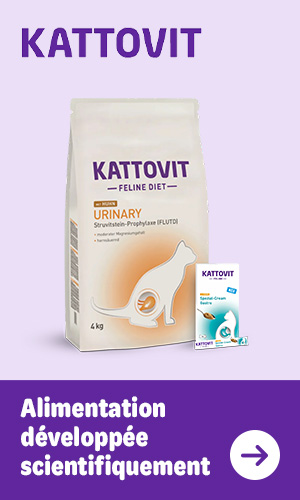 Découvrez les produits kattovit