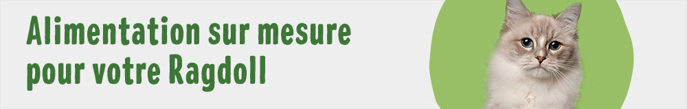 Croquettes et sachets pour Ragdoll