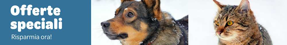 Altre offerte da non perdere