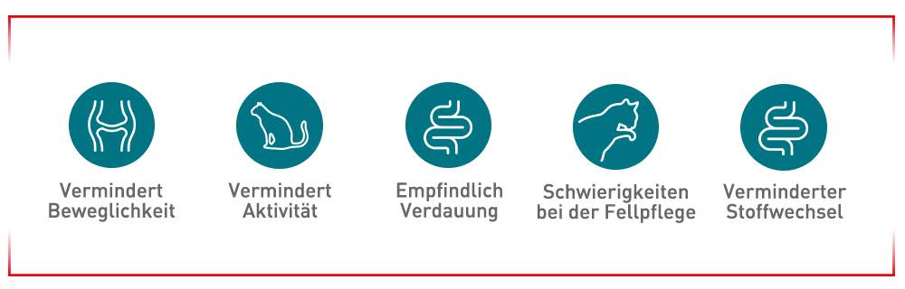 Zeichen, auf die man achten sollte