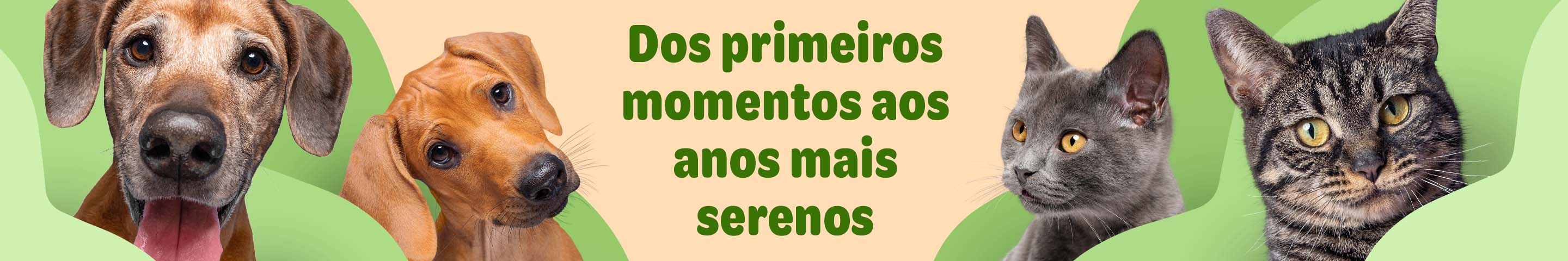 zooplus em cada etapa de vida do seu animal de estimação!