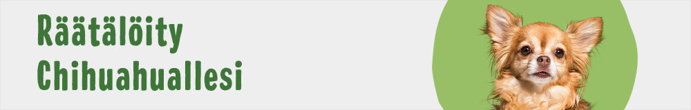 Dog Breed Chihuahua 1000x160 FI