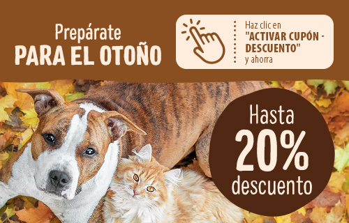 Prepárate para el otoño