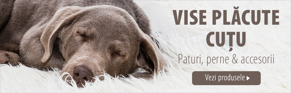 Paturi pentru câini