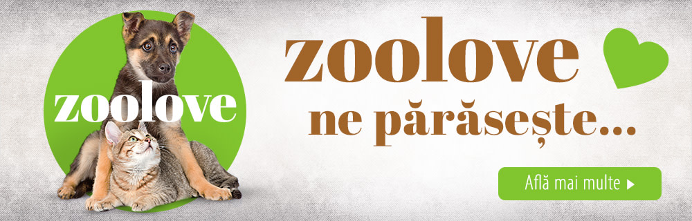 zoolove ne părăsește ...