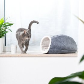 Cosma Cat Accessories