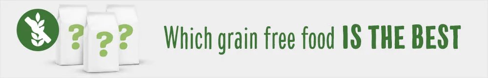 what is best grain free dog food