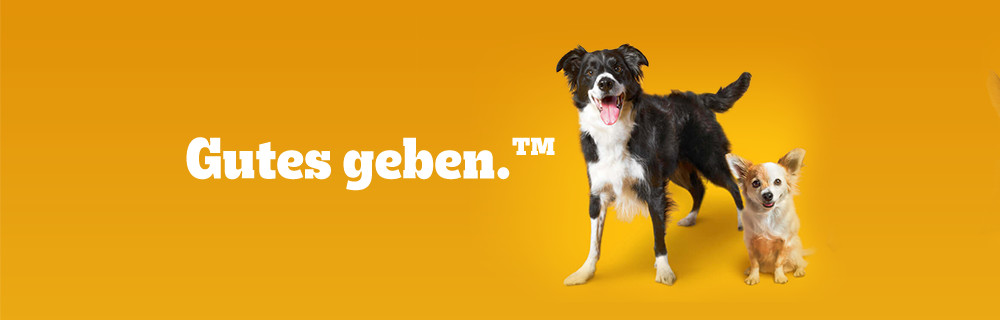 Header Pedigree Philosophie Web