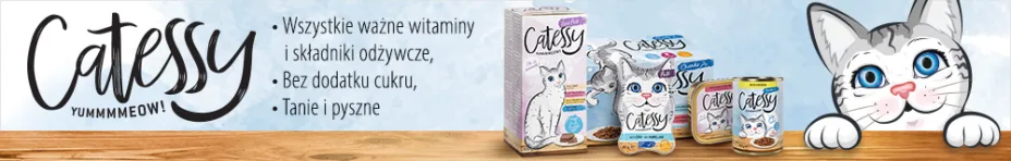 Catessy, karma mokra dla kota