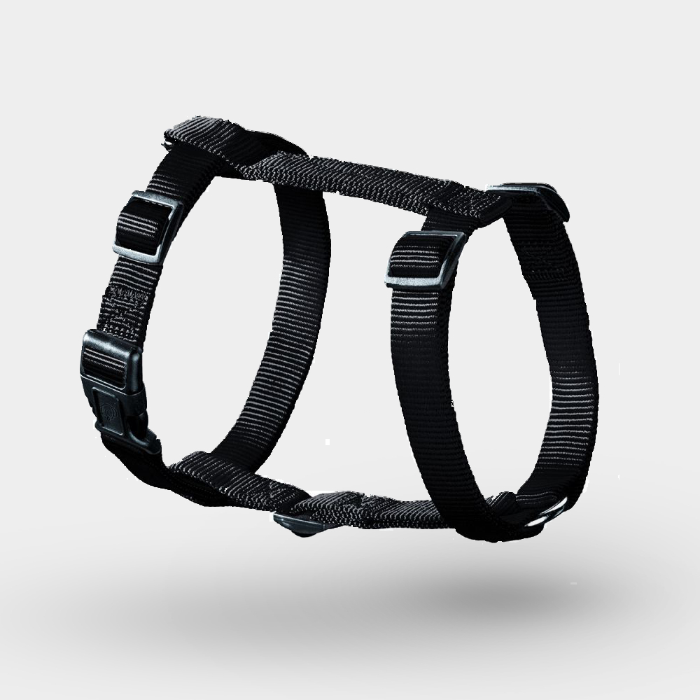 Correas, arneses y collares para perros a bajos | zooplus