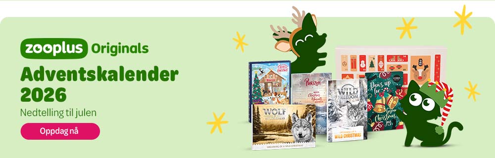 Adventskalender