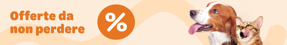  Scopri le migliori offerte da non perdere!