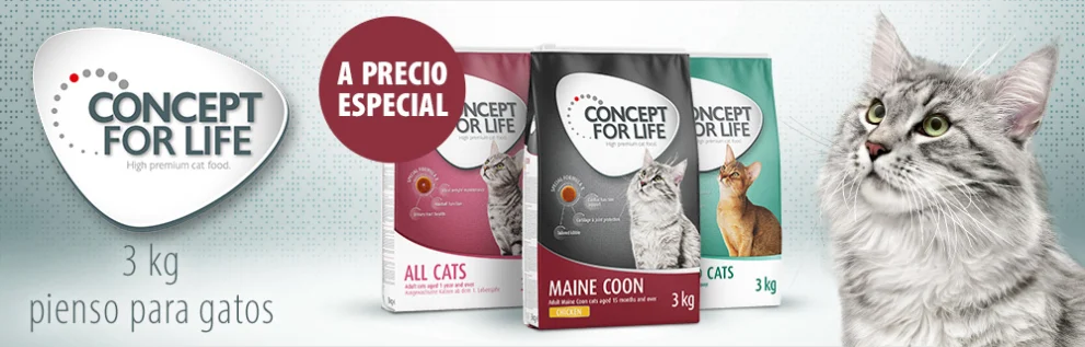 Concept for Life Adult 3 kg pienso para gatos ¡a precio especial!