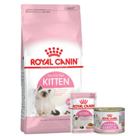 Tous les produits Royal Canin pour chatons !