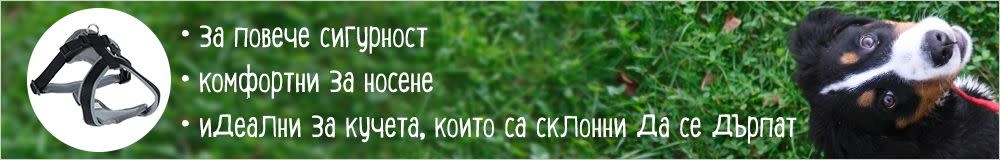 Други марки поводи, нашийници и нагръдници
