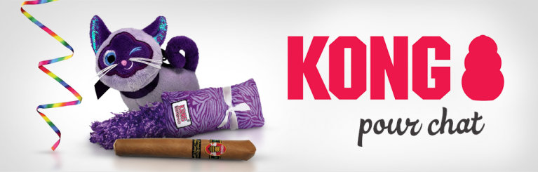 Jouets KONG pour chat