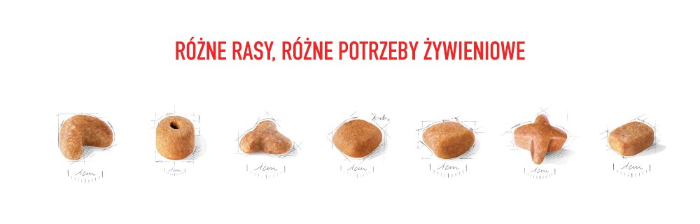 Różne rasy, różne potrzeby żywieniowe