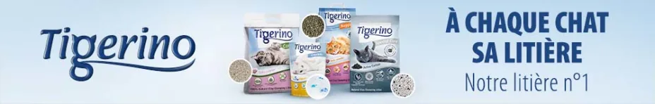 Litière pour chat Tigerino : à chaque chat sa litière !