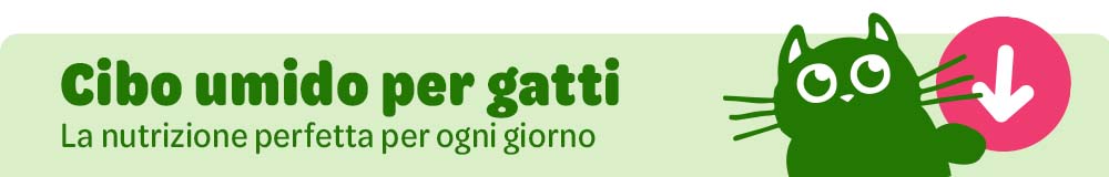 IT Your Choice OBF CAT Reco Header Banner 1000x160