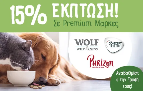 15% Έκπτωση σε Αγαπημένες Μάρκες!