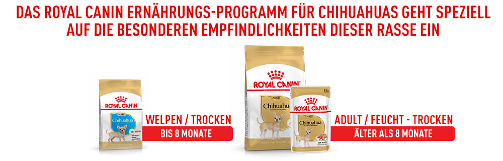 Royal Canin Chihuahua Ernährungsprogramm