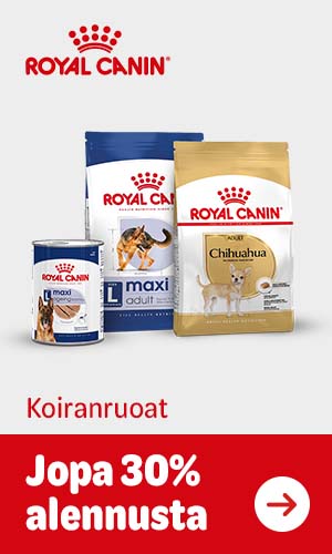Jopa 30% alennusta Royal Canin koiranruoista.