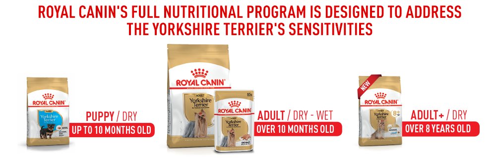 Discover all of the Royal Canin Yorkshire products