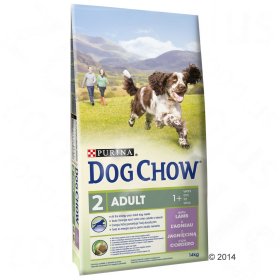 Dog Chow hund
