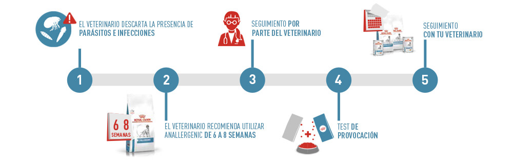 Guía de 5 pasos para hacer la dieta de eliminación