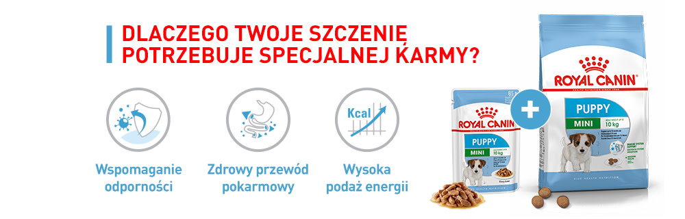 Dlaczego Twoje szczenię potrzebuje specjalnej karmy?
