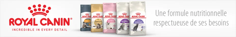 Croquettes royal canin pour chat 