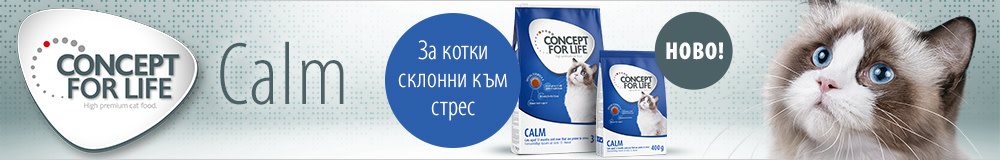 Concept for Life Calm 