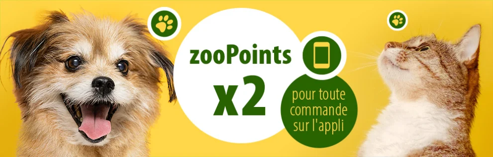  App campaign zooPoints x2