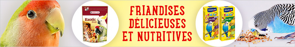 Friandises pour oiseaux