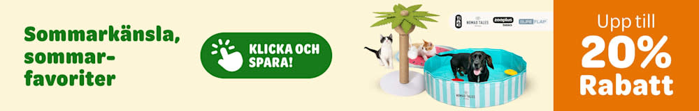 Sommarkänsla