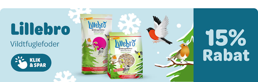 15% på Lillebro