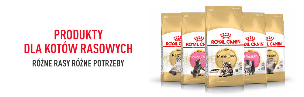 Produkty dla kotów rasowych 