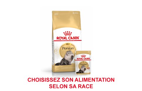 ROYAL CANIN BRAND PAGE - CAT Subpage - Grid Container - Product Line - Breed image