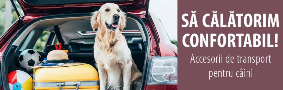 Transport și accesorii auto pentru câini