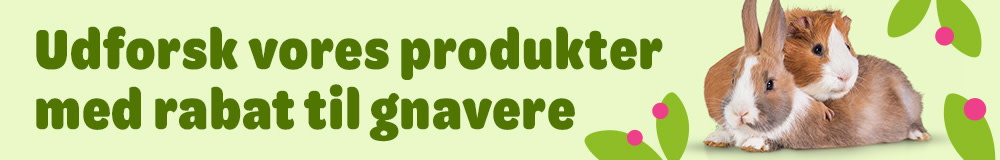 Udforsk vores produkter med rabat til gnavere