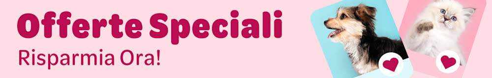 Scopri tutte le nostre offerte speciali!