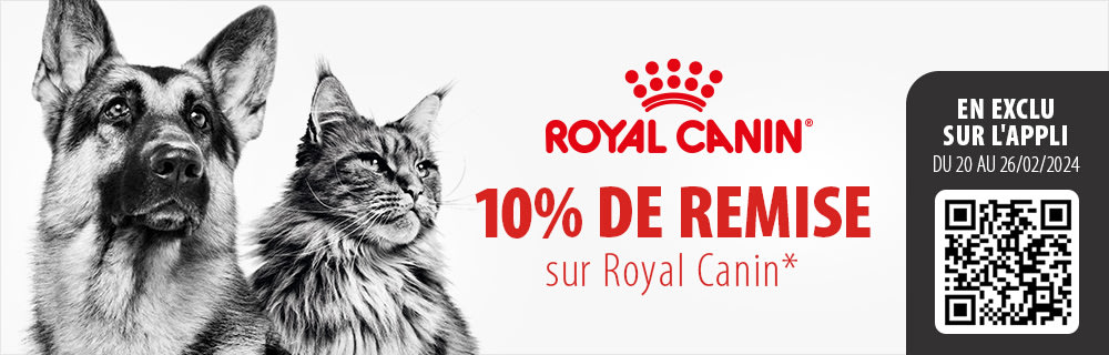 10 % de remise sur les croquettes et la nourriture humide Royal Canin en exclusivité sur l'application