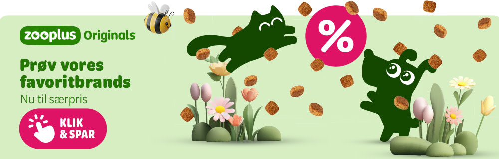 Prøv vores favoritbrands nu