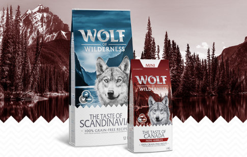 The Taste of - Wolf of Wilderness