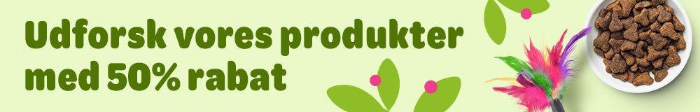 Udforsk vores produkter med 50% rabat